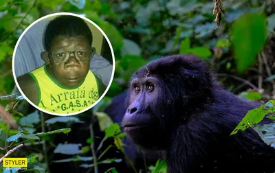 Животное шимпанзе - 61 фото