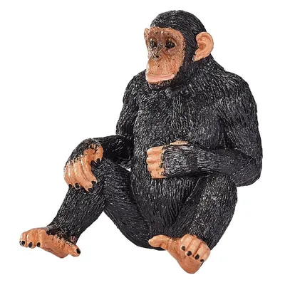 Шимпанзе. Рисунок линерами и фломастерами | Пикабу