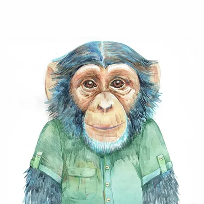 Война шимпанзе Гомбе — Википедия