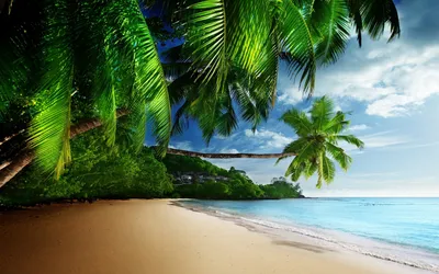 Тропический пляж скачать фото обои для рабочего стола