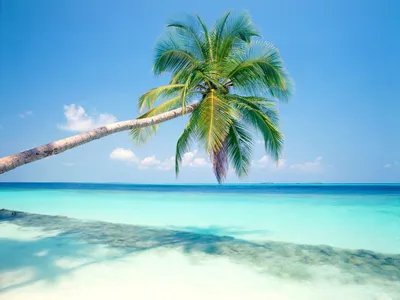 HD обои лето, картинки 2560x1600, обои море, пляж, Мальдивы, скачать  бесплатно обои высокого качества