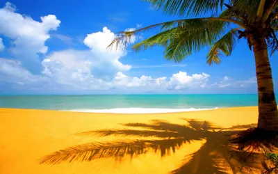 Песчаный пляж и красивые волны | Обои для телефона