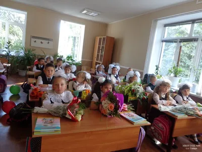 Школьные линейки 1 сентября пройдут в новом формате - Российская газета