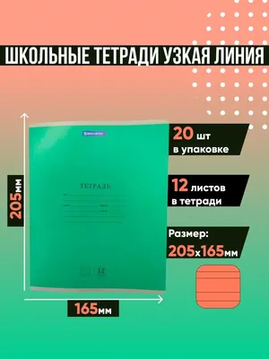 Школьные Тетради в Узкую Линейку 12 листов а5 Набор из 20 шт Haknem Basics  37143261 купить в интернет-магазине Wildberries