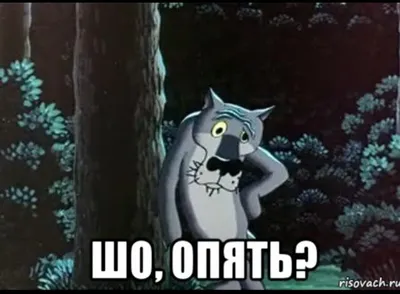 Табличка Волк \"Шо? Опять?\"металл /МТ 1 шт — купить в интернет-магазине по  низкой цене на Яндекс Маркете