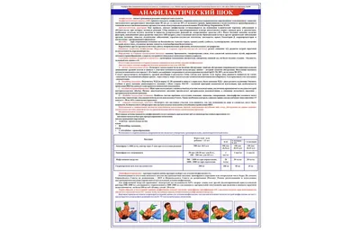 Газовый баллончик ШОК 65 мл. купить по выгодной цене с доставкой, описание,  характеристики и отзывы. - Сигнал-сос.ру - Купить в Москве