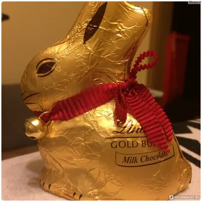 Золотой шоколадный заяц Lindt Gold Bunny - «Ну очень вкусный шоколад!» |  отзывы