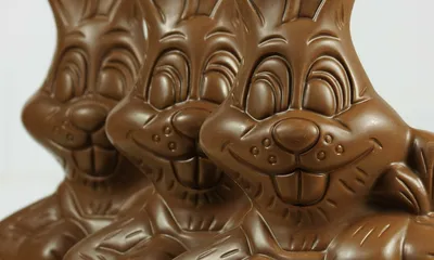 F i i» V , S 1 Il ''Я / шоколадный заяц :: пасхальный кролик :: Прикольные  картинки / смешные картинки и другие приколы: комиксы, гиф анимация, видео,  лучший интеллектуальный юмор.