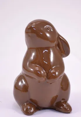 белый шоколадный заяц. кролик из шоколада. сладость Иллюстрация вектора -  иллюстрации насчитывающей чертеж, мило: 214676119