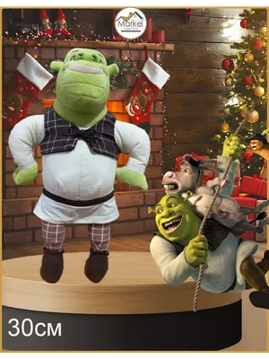 Shrek, Shrek The Musical, shrek Forever After, shrek 2, princess Fiona,  Shrek Film Series, dreamWorks Animation, mascot, heroes, facial Hair |  Anyrgb