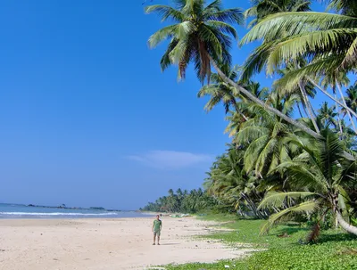 Тур на Шри-Ланку: как правильно выбирать курорт и отель | Ассоциация  Туроператоров