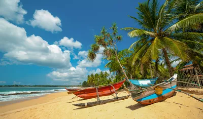 Для туристов из России визы в Шри-Ланку будут бесплатными – Объясняем.рф