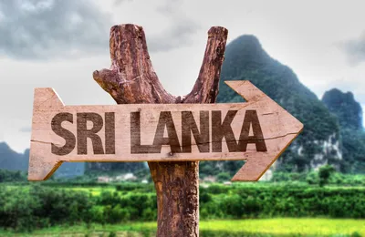 Тур в Шри-Ланку в 2024