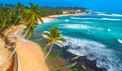 Новогодняя Шри-Ланка вошла в ТОП продаж у туроператоров, изменились и сами  клиенты | Ассоциация Туроператоров