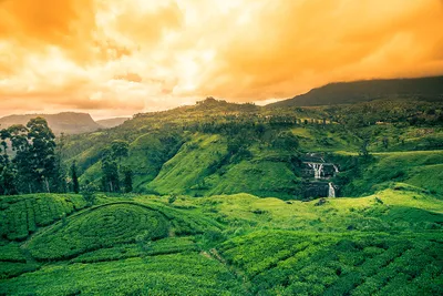 Почему стоит поехать на Шри-Ланку? - Hermes Travel