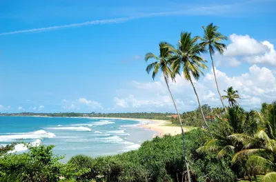 Что посмотреть на Шри-Ланке: достопримечательности и лучшие места острова—  Яндекс Путешествия