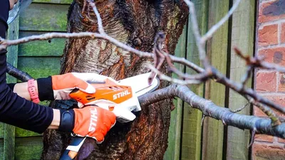 Al's Saw Shop | STIHL Dealer in Redding, CA