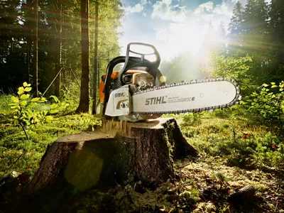 Our STIHL English website | STIHL