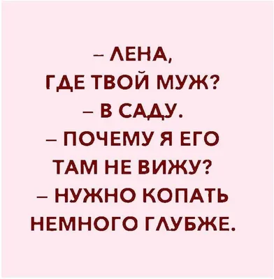 Анекдот каждый день: Юмор, анекдоты, приколы #анекдот #анекдоты #анекдотшоу  #анекдотпро #развлечения #юмор.. | ВКонтакте