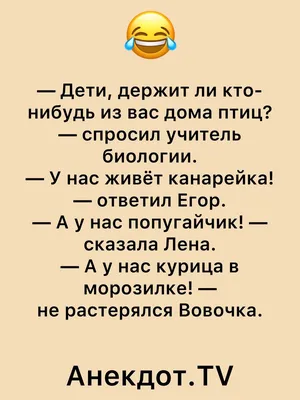 Пин от пользователя Лена на доске Цитаты | Новые цитаты, Шутки, Цитаты