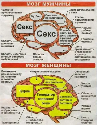 Подарочный набор Мысли, афоризмы и шутки знаменитых мужчин. Артикул: BG4890N