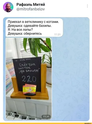 Любите шутки над Путиным - Вам сюда - Новости на KP.UA