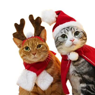 Новогодние шапки для собак моющиеся коты фото реквизит головной убор  многоразовые смешные рождественские Домашние животные декоративные шапки  Домашние животные праздничные украшения | AliExpress