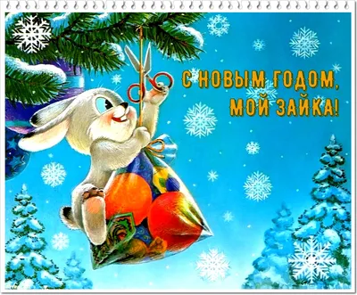 Новый год 2024: прикольные и эксклюзивные открытки к празднику - МК  Красноярск