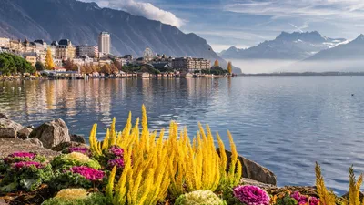 Почему Швейцария настолько богата? | Smapse