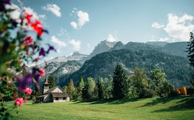 Почему Швейцария самая развитая страна? Главный секрет богатства Швейцарии.  | Изнанка политики | Дзен