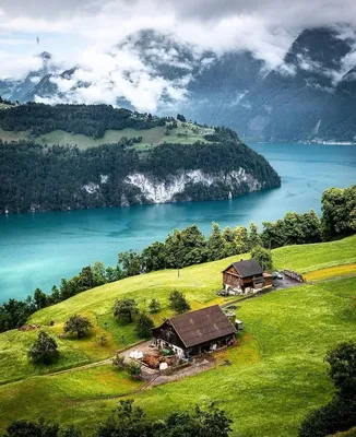 Точный механизм: как переехать в Швейцарию, получить работу и начать  собственный бизнес | Forbes Life