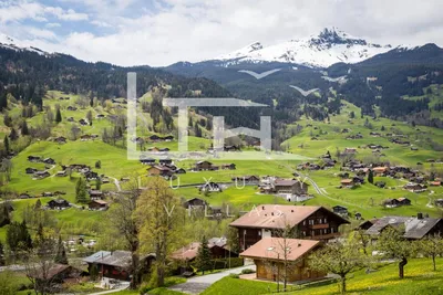 Путешествия самостоятельно: Швейцария. Рейнский водопад / Блог о туризме в  Швейцарии