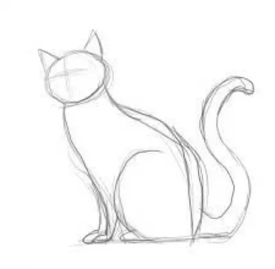 портрет сидящего кота. юный коричневый кошка. порода русского синего  Стоковое Фото - изображение насчитывающей смотреть, забавлять: 244405766