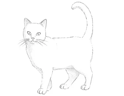 Картина для интерьера на холсте \"3d рисунок сидящего кота на белом\", 60 x  90 см, с алюминиевыми подвесами, в тубусе, картина в подарок для дома,  декор для дома - купить по низкой