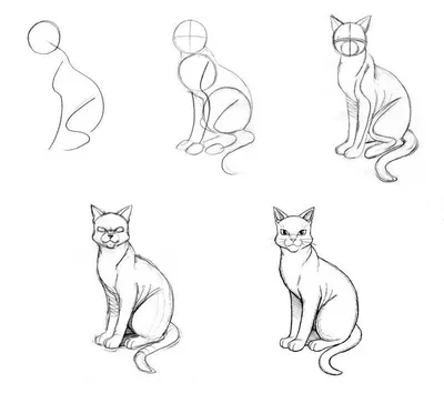 Силуэт Сидящего Кота — стоковая векторная графика и другие изображения на  тему Домашняя кошка - Домашняя кошка, Чёрный цвет, Силуэт - iStock