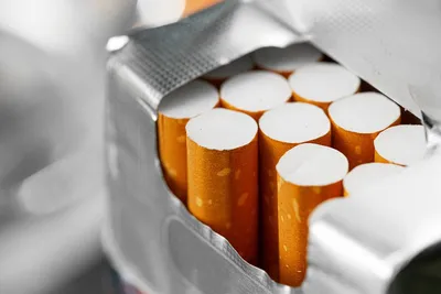 Курительные табачные изделия — Tubakainfo