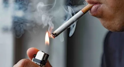 Из чего делают фильтры сигарет? Соусы для сигарет, сигареты с кнопкой,  сигареты с ментолом — CMT Научный подход