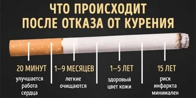 Источники нелегальных сигарет в России