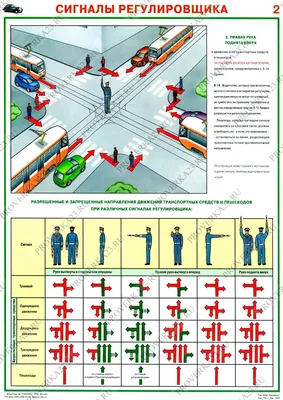 Плакат «Сигналы регулировщика» цена 640 рублей купить в Краснодаре -  интернет-магазин Проверка23