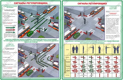 Сигналы регулировщика. Всё просто! / AVTOINSTRUKTOR.BY