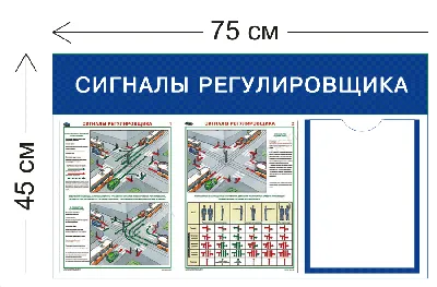 Сигналы и жесты регулировщика на перекрестке: фото и видео • Автострада