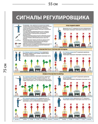Стенд «Сигналы регулировщика» (1 плакат) - Купить в Москве
