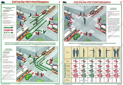 Сигналы регулировщика и их значение — памятка для украинских водителей и  пешеходов от патрульной полиции [фото и