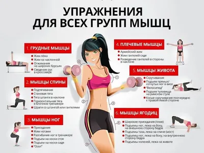 силовые тренировки, как приучить себя к нагрузкам, зачем женщине силовые  тренировки, эффективная тренировка в домашних условиях — Фитнес