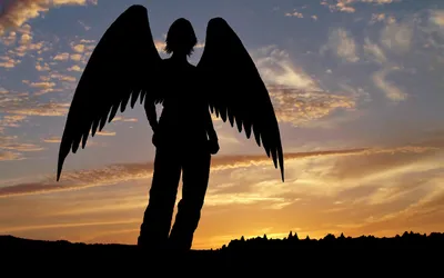 Силуэт ангела-летающего символа мифологии Векторное изображение  ©kozyrevaelena 241119408