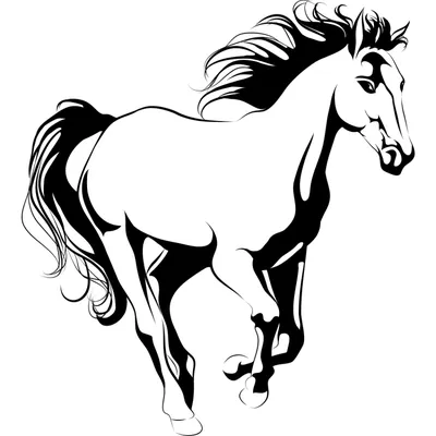 Силуэт черной идущей лошади - Vector иллюстрация лошади Иллюстрация вектора  - иллюстрации насчитывающей бело, лошади: 79901293