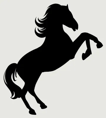 силуэт лошади черный Stock Vector | Adobe Stock