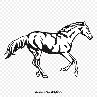 Силуэт Лошади — стоковая векторная графика и другие изображения на тему  Лошадь - Лошадь, Силуэт, Изолированный предмет - iStock