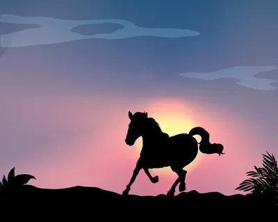 силуэт бегущей лошади PNG , Бегущая лошадь, жеребец, конный спорт PNG  картинки и пнг рисунок для бесплатной загрузки