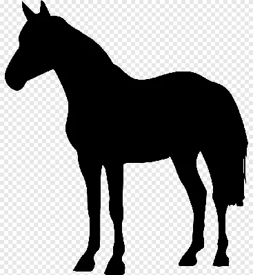 силуэт лошади PNG , лошадь клипарт, черный, лошадь PNG картинки и пнг PSD  рисунок для бесплатной загрузки